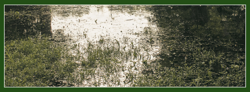 untitled (facebook cover) (3)